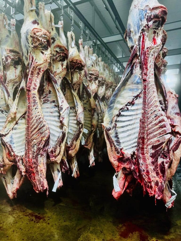BEEF GUYANA