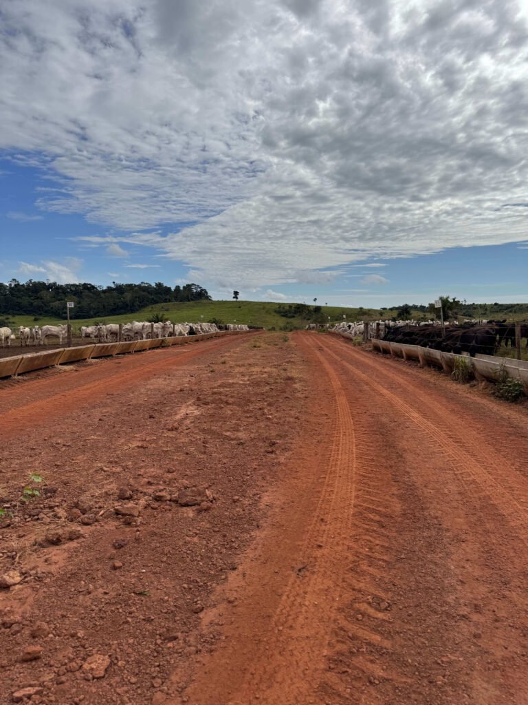 IMG_5939